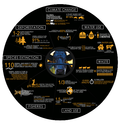 Click to view a comprehensive infographic