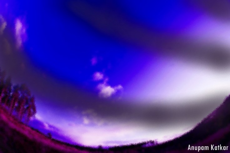 Butterfly-Magnetic Lines