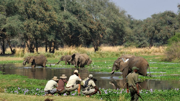 africa-ecotourism
