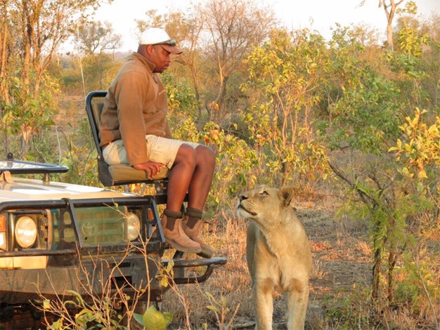 lion-safari-guide